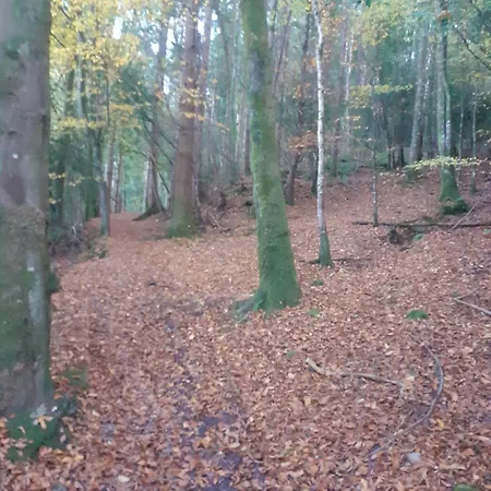 Cosy With Amazing Views Of The Galtees Feriehus