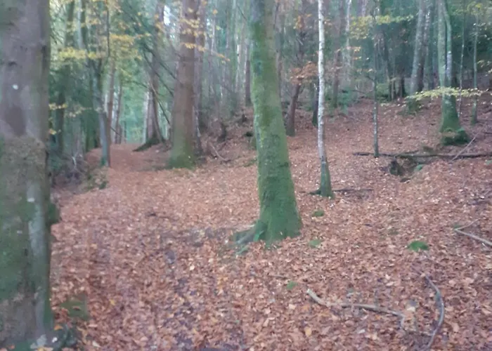Cosy With Amazing Views Of The Galtees Feriehus