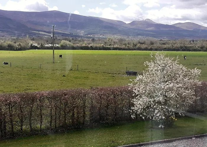 Cosy With Amazing Views Of The Galtees Tipperary